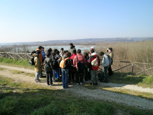 inizio della visita